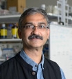 Satyajit Mayor