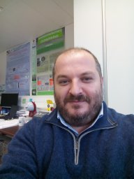 Angelis Apostolis