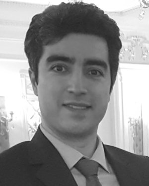 Toheed Ghandriz