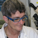 Maria Raffaella Zocchi