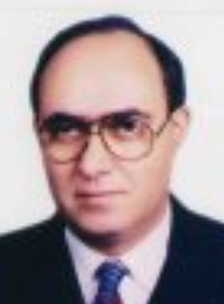 Hany H Sherief