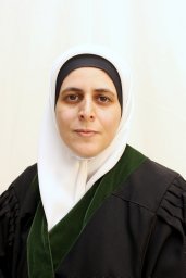 Alaa M. Al-Ma'abreh