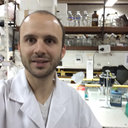 Marco Brovedan
