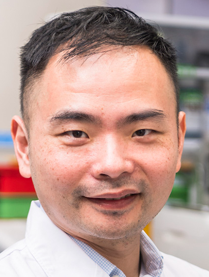 Jian Yan