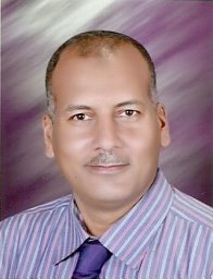 Ahmed K. Sadek