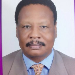 Ahmed Mohamedain