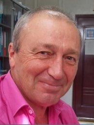 A. V. Ermolaev