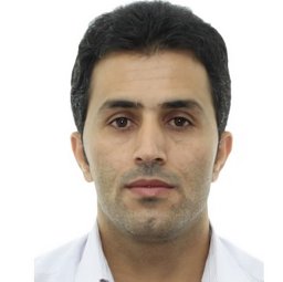 Behzad Vaferi