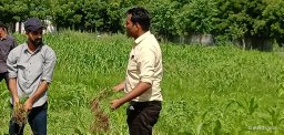 Rakesh Kumar Prajapat