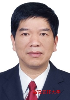 Hui Chen