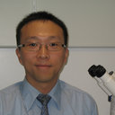Peter P Luk