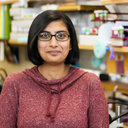 Sarayu Row