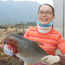 Jinxia Peng