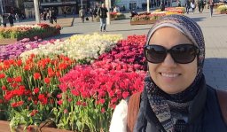 Doaa M. El Demerdash