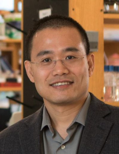 Yibin Kang