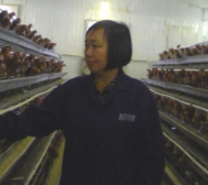 Fuxiang Ding