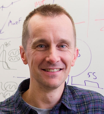 Michael T. Laub