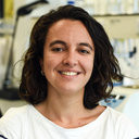 Pauline Verlhac