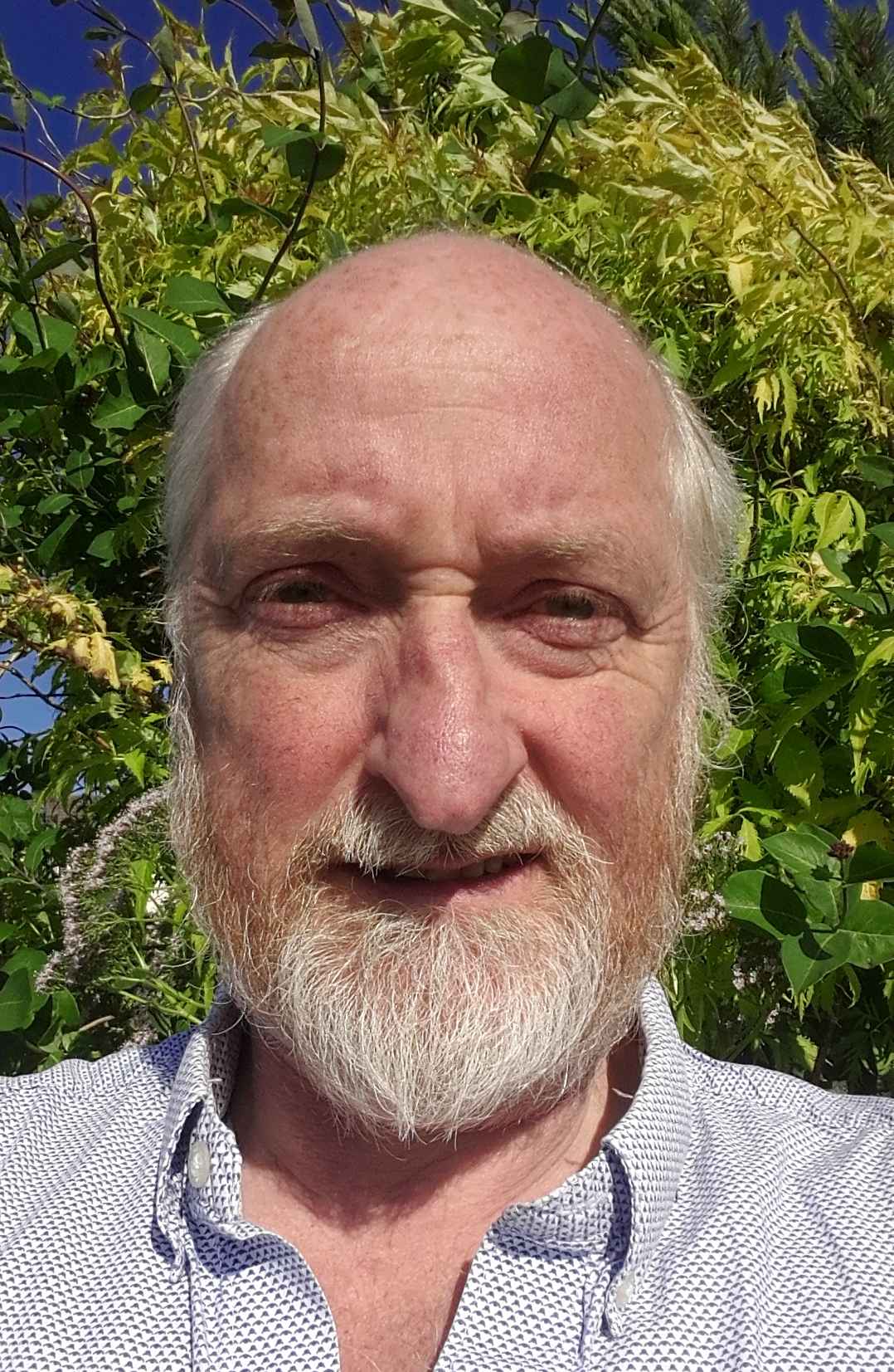 Brian McNeil