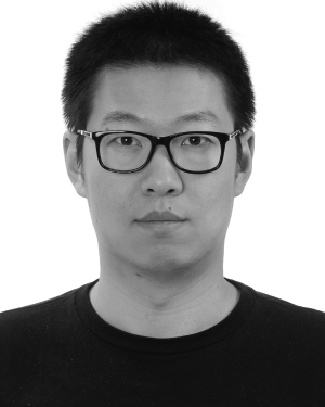 Liu Wei
