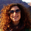 Luisa M P Santos