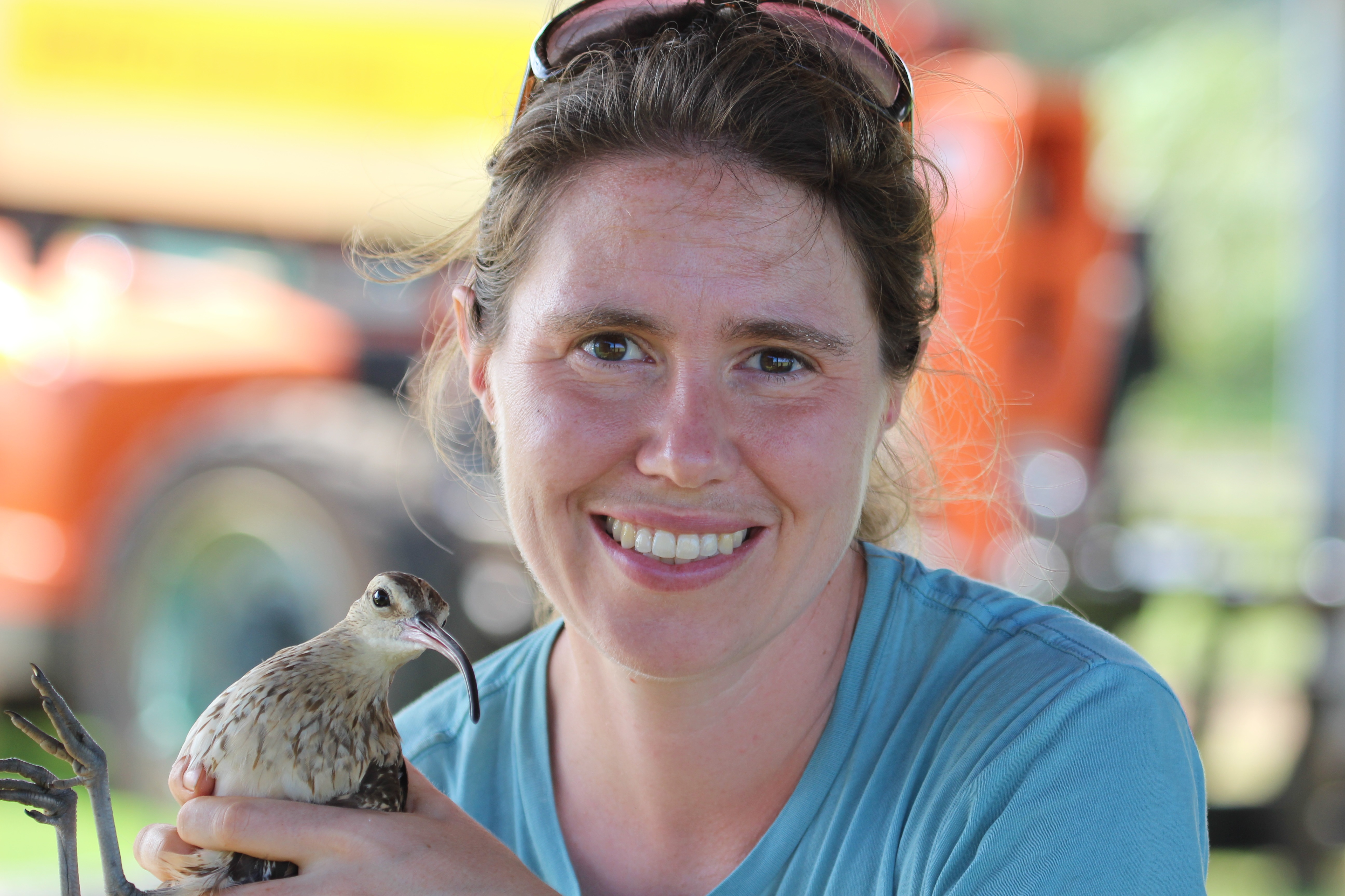 Sarah A. Sonsthagen