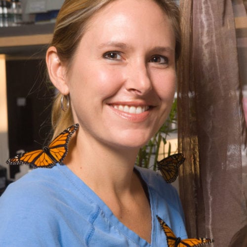 Sonia M Altizer