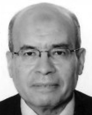 Magdy S. El-Soudani