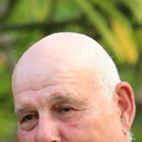 Andrew M Bruckner
