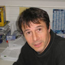 Klaus T Ebnet