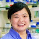 Feng-Ling Yang