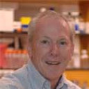 Joseph H. Neale