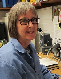 Jane Batcheller