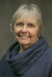 Anne E Mcelroy