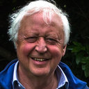 Allan Templeton