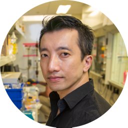 Peter Q. Nguyen