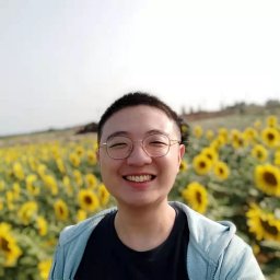 Z. Lin