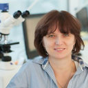 Birgit Perner