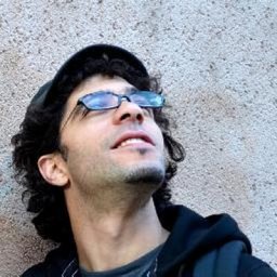 Mehdi Moussaïd