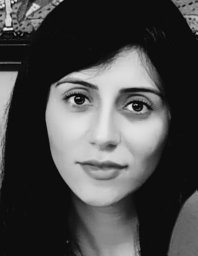 Amani S. Ibrahim