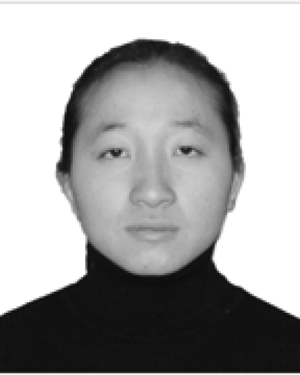 Aiwei Shi