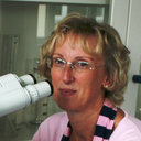 Marina E.H. Muller