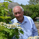 Viktor Mankovsky