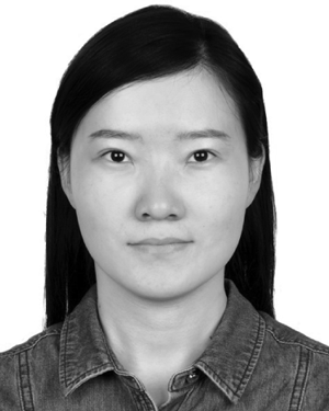 Zijin Zhang