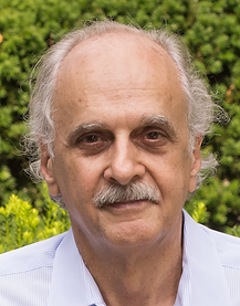 Yannis Tsividis