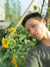 Yan Zhang
