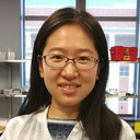 Xue Li