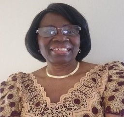 Adeyinka G. Falusi