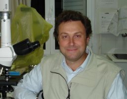 Dimitrios Chaniotis