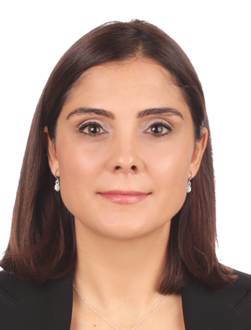 Arzu Pinar Erdem
